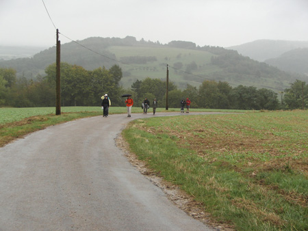 KIF_5464