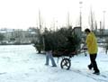 KIF_8231